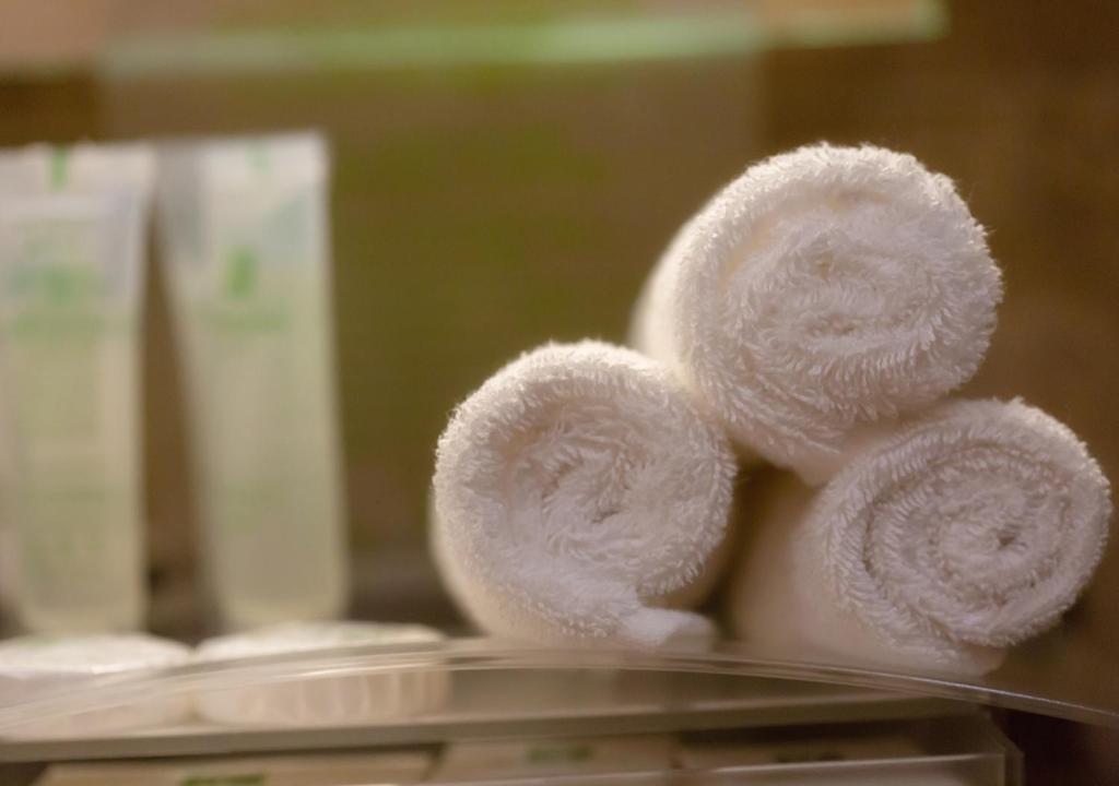 HOLIDAY SUITES AL AZIZIAH