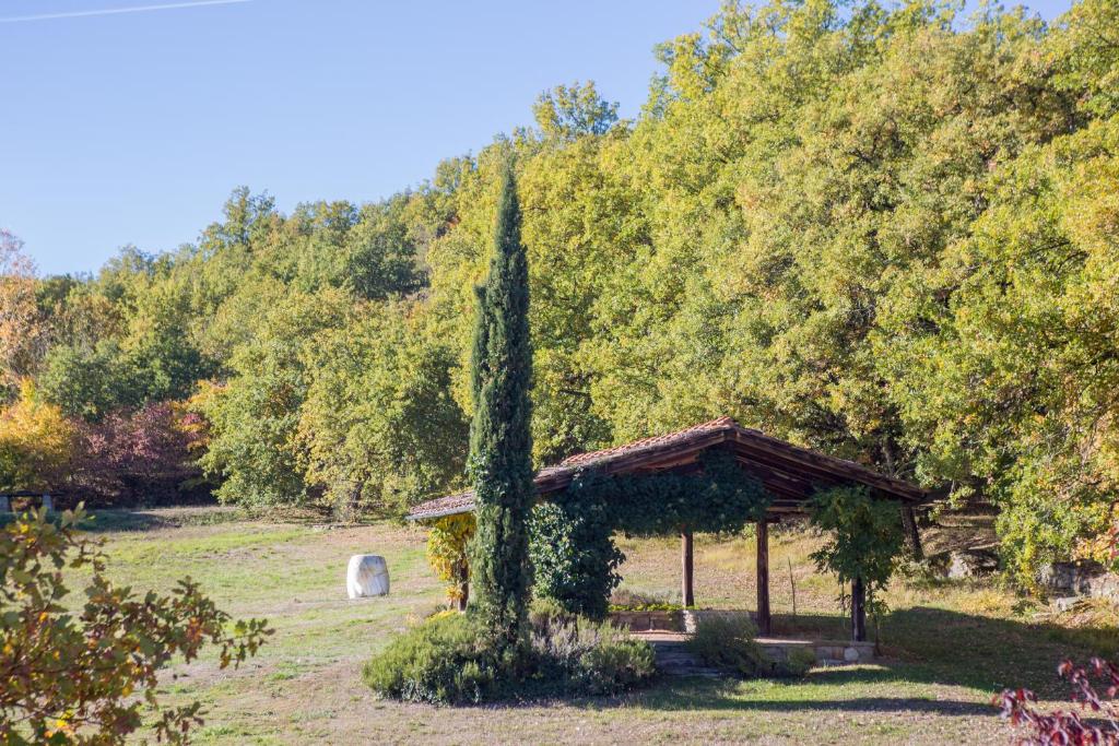 Zahrada ubytování Fattorie di Celli