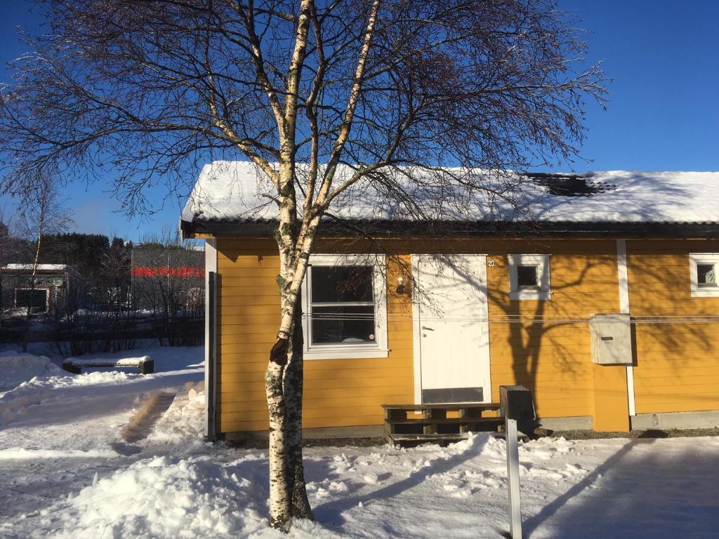 una casa amarilla con un árbol en la nieve en Bergen Camping Park, en Bergen