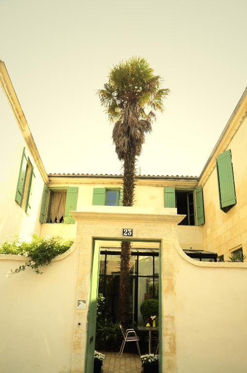 una palmera en la parte superior de un edificio en La Maison du Palmier, en La Rochelle