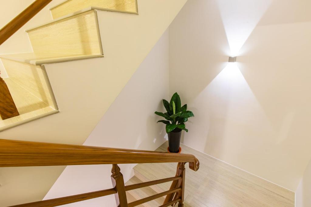 Fotografie z fotogalerie ubytování Araucaria Residence v destinaci Huxi