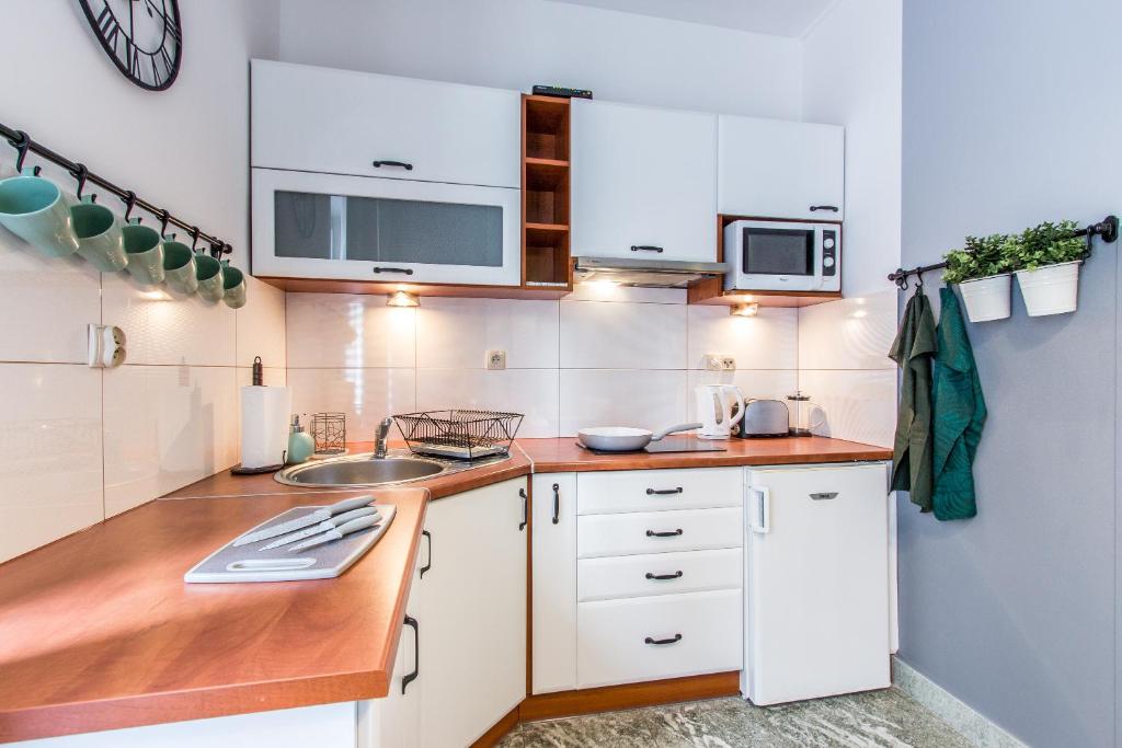Kuchyňa alebo kuchynka v ubytovaní Apartament Bulwary Zakopane