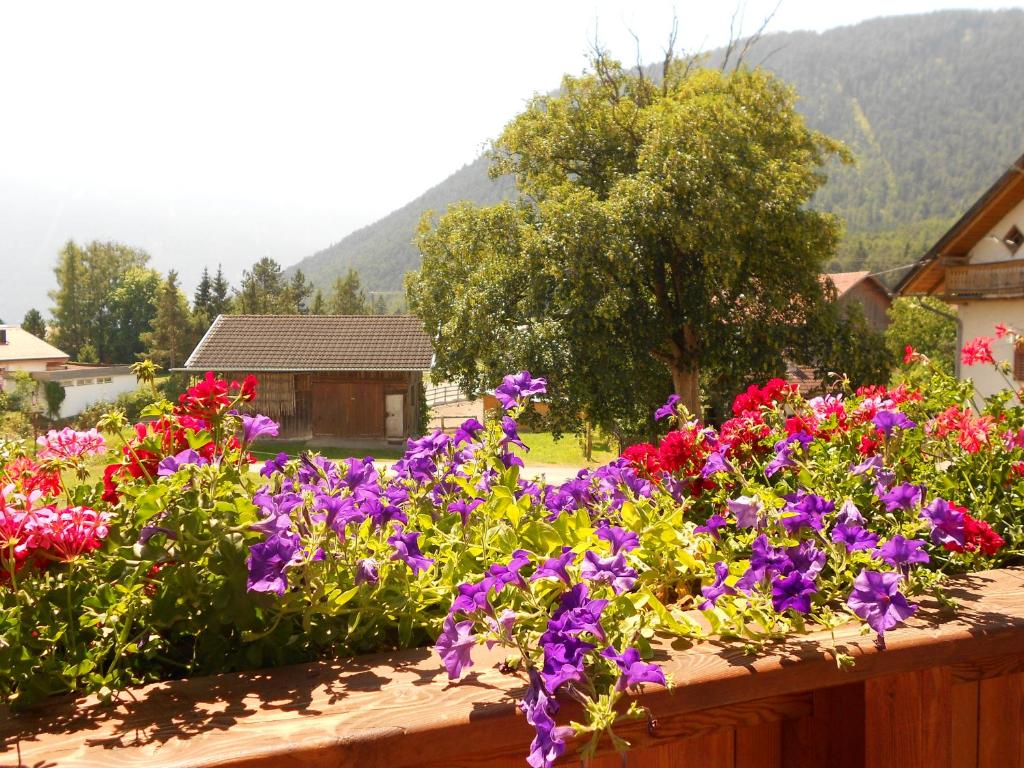 Nespecifikovaný výhled na hory nebo výhled na hory při pohledu z bed and breakfast