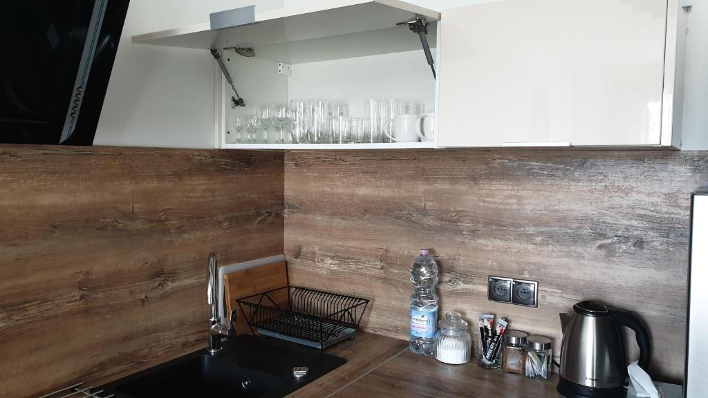 Kuchyňa alebo kuchynka v ubytovaní Quo Vadis Apartment
