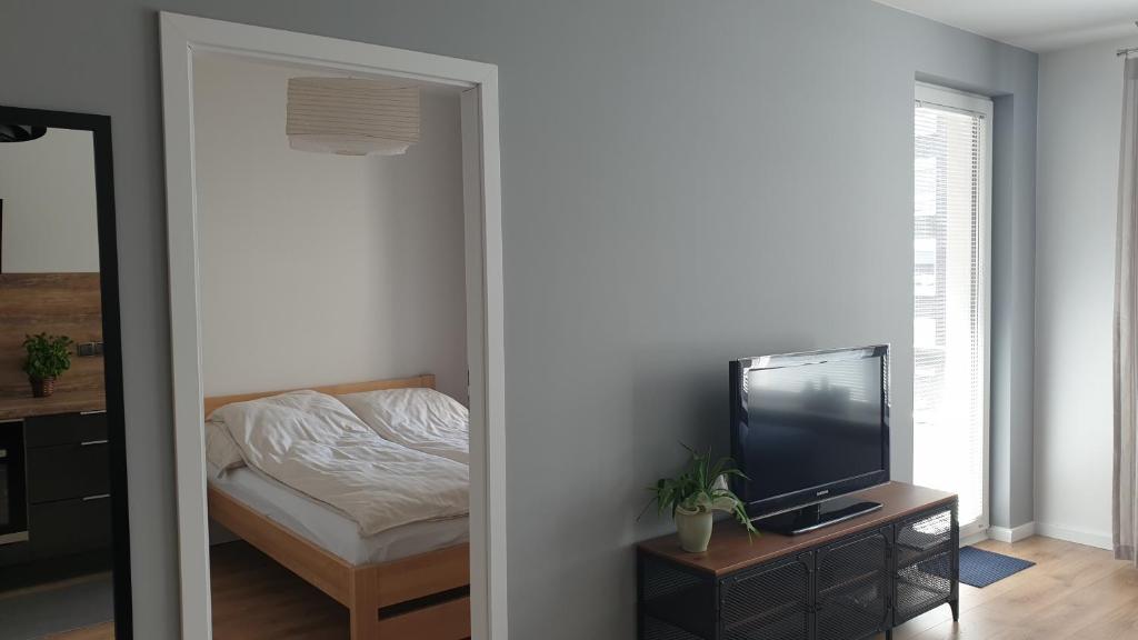 Televízia a/alebo spoločenská miestnosť v ubytovaní Quo Vadis Apartment