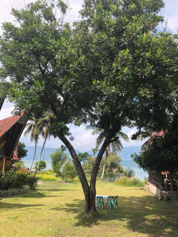 a tree with two tables and chairs under it at Leokap Homestay in Tuk Tuk