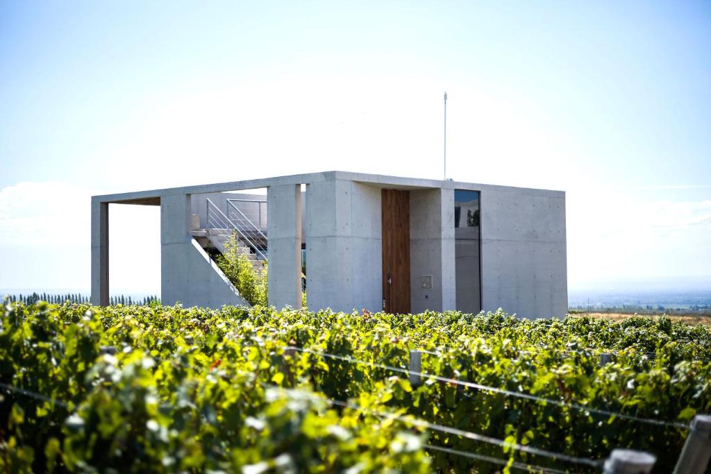 Casa de Uco Vineyards and Wine Resort - Вилла с одной спальней
