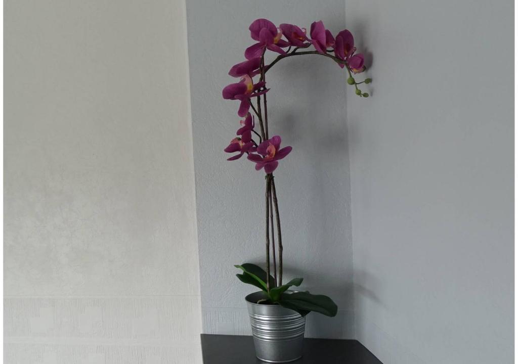 Fotografie z fotogalerie ubytování Europa Hotel v destinaci Roussillon en Isere