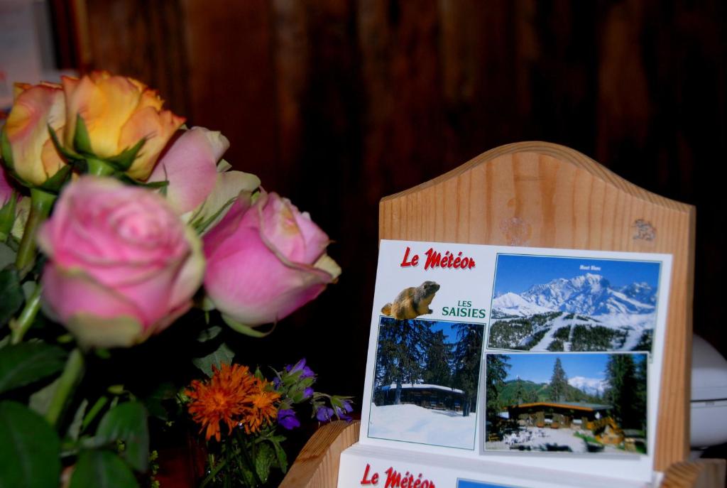 Fotografie z fotogalerie ubytování Hôtel Chalet Le Caribou v destinaci Les Saisies
