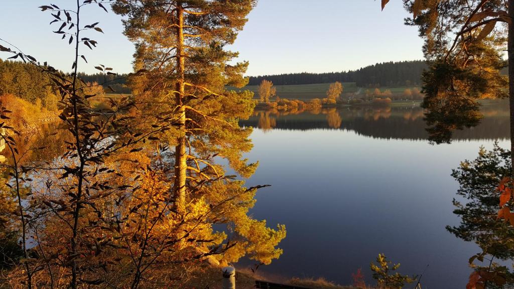 a view of a lake in the fall at Ferienwohnung am Kirnbergsee in Unterbränd