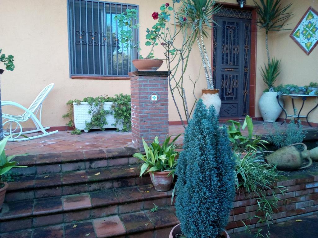 Zahrada ubytování CASA DEGLI OLEANDRI