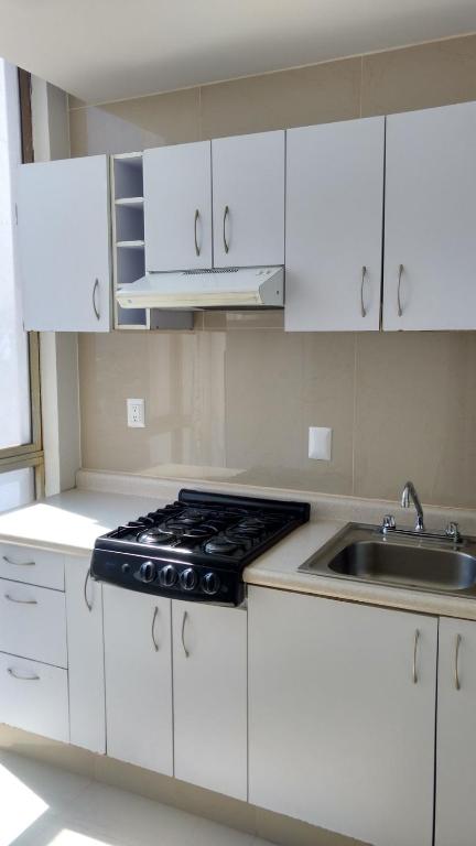 Kuchyň nebo kuchyňský kout v ubytování Hotel Suites Bernini