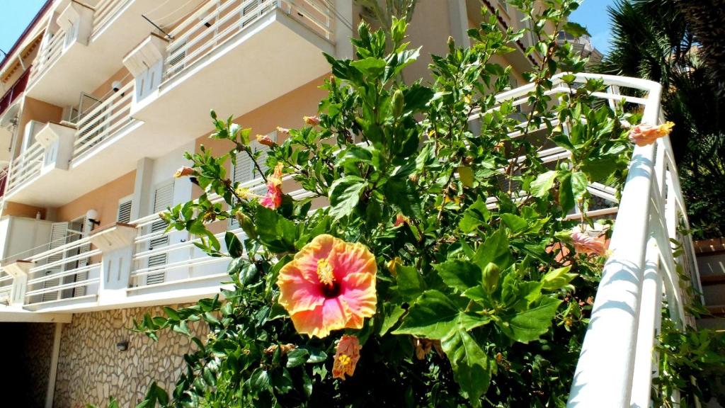 Gallery image of casa vacanze ferdinandea in Sciacca