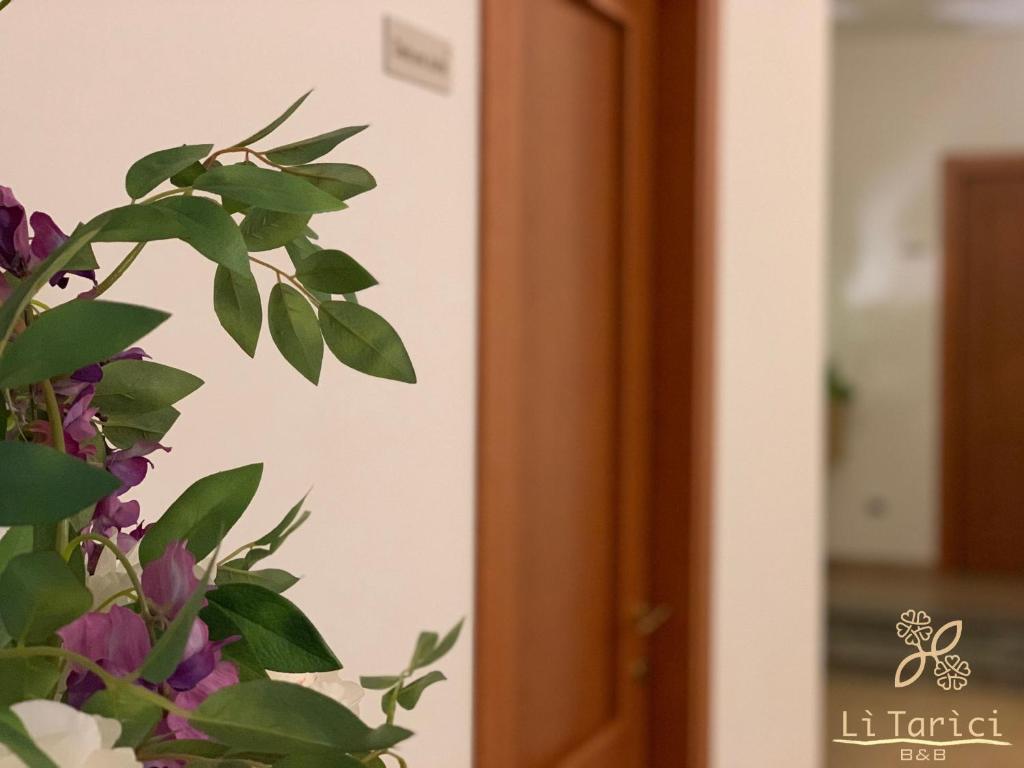 Fotografie z fotogalerie ubytování B&B Li Tarici v destinaci Maruggio