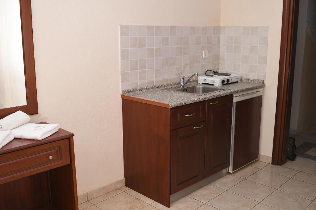 Kuchyň nebo kuchyňský kout v ubytování Hotel Manos