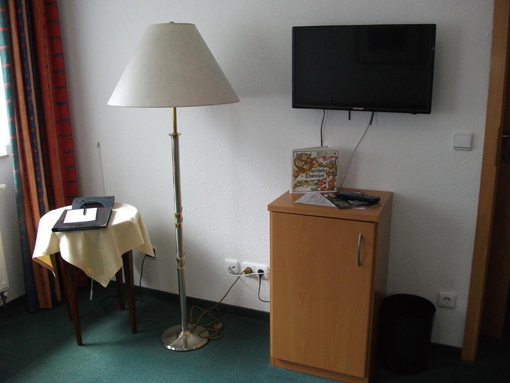 TV a/nebo společenská místnost v ubytování Hotel Am Wald -GARNI-