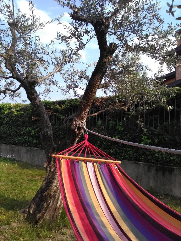 A garden outside Le Palme Sona