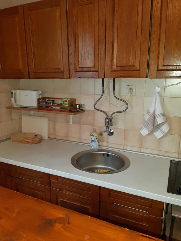 Gallery image of Apartments Ant in Budva
