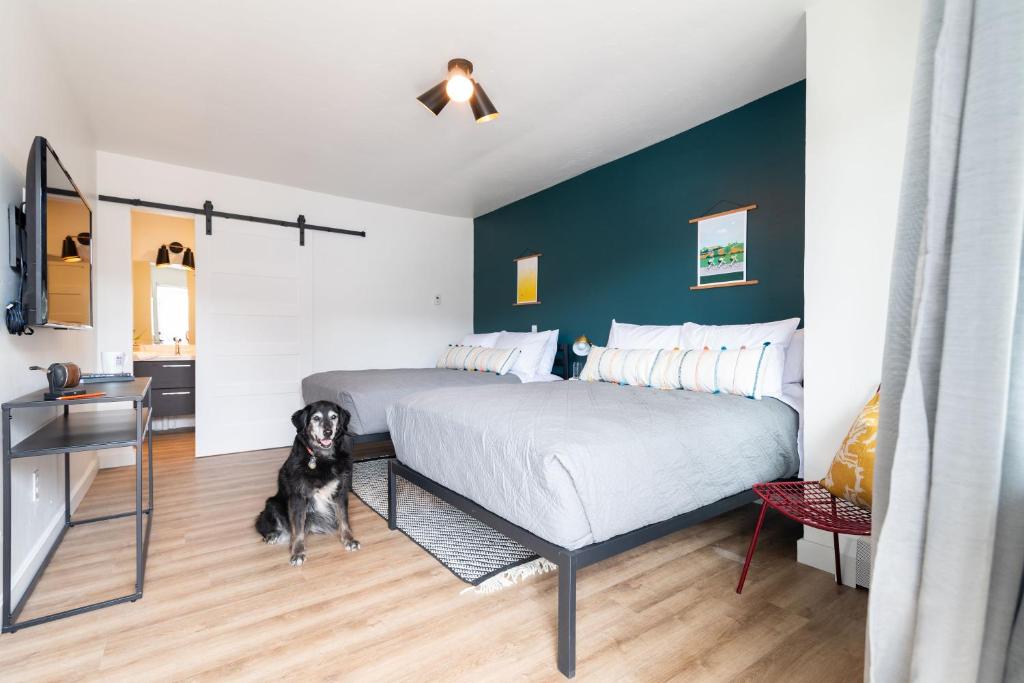 a bedroom with a bed and a dog sitting on the floor at Spoke and Vine Motel in Palisade