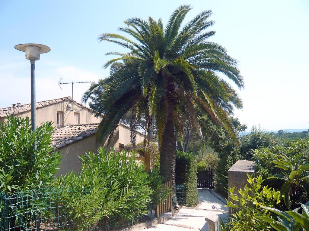 a palm tree in front of a building at Holiday Home Le Clos de la Ricarde.1 in Pardigon