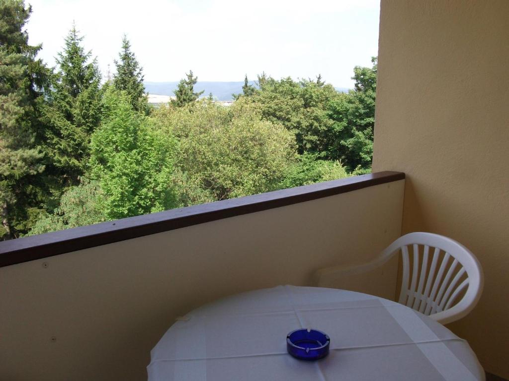 Balkón nebo terasa v ubytování Hotel Am Wald -GARNI-