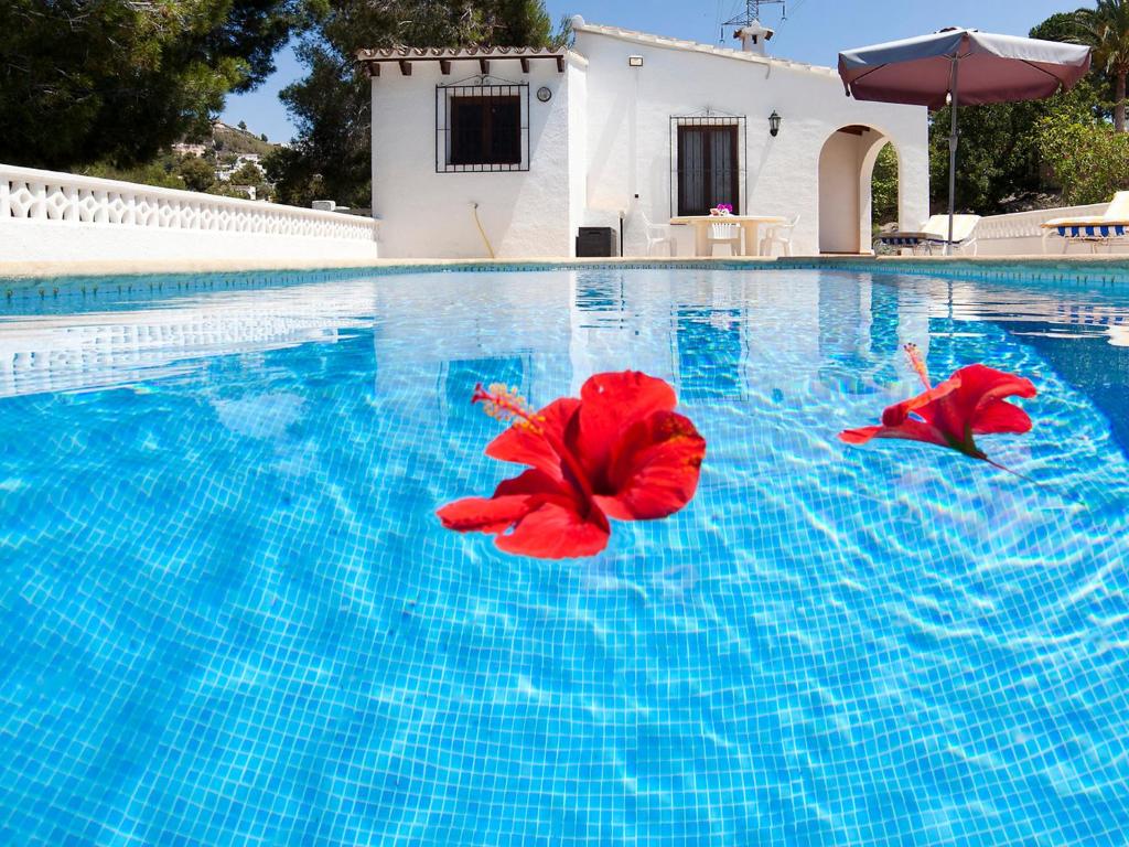 two red flowers floating on top of a swimming pool at Holiday Home Heidi by Interhome in Empedrola