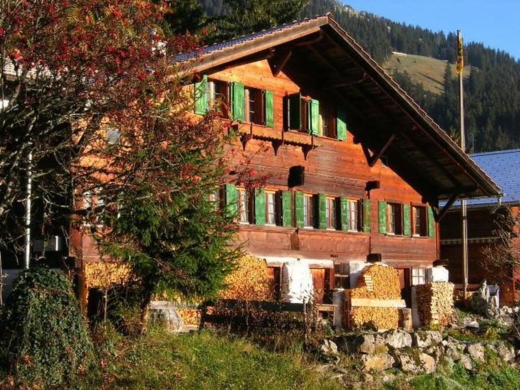 una casa in legno con finestre verdi su una collina di Apartment Auf der Mauer by Interhome a Oberwil