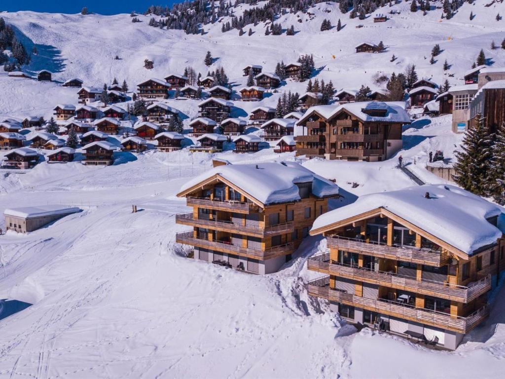 an aerial view of a resort in the snow at Apartment Apartmenthaus Riederhoru A 1- OG Ost by Interhome in Riederalp