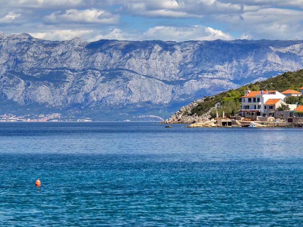 Príroda v okolí apartmánu