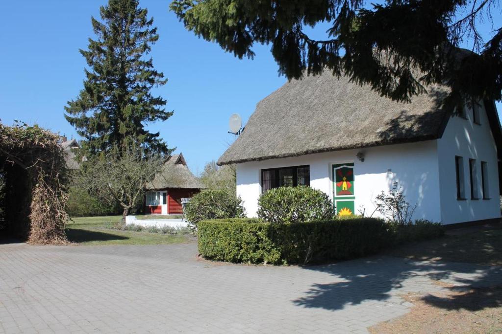 a white house with a thatched roof at Ferienhaus Ilva in Born in Born