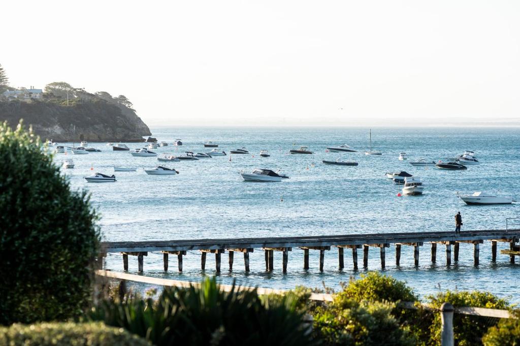 a group of boats in the water near a dock at Portsea Hotel in Portsea