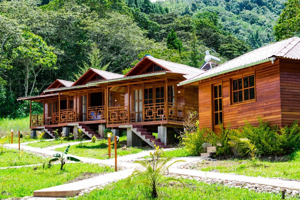 a wooden house in the middle of a forest at Chontaqui Eco-Lodge in Oxapampa