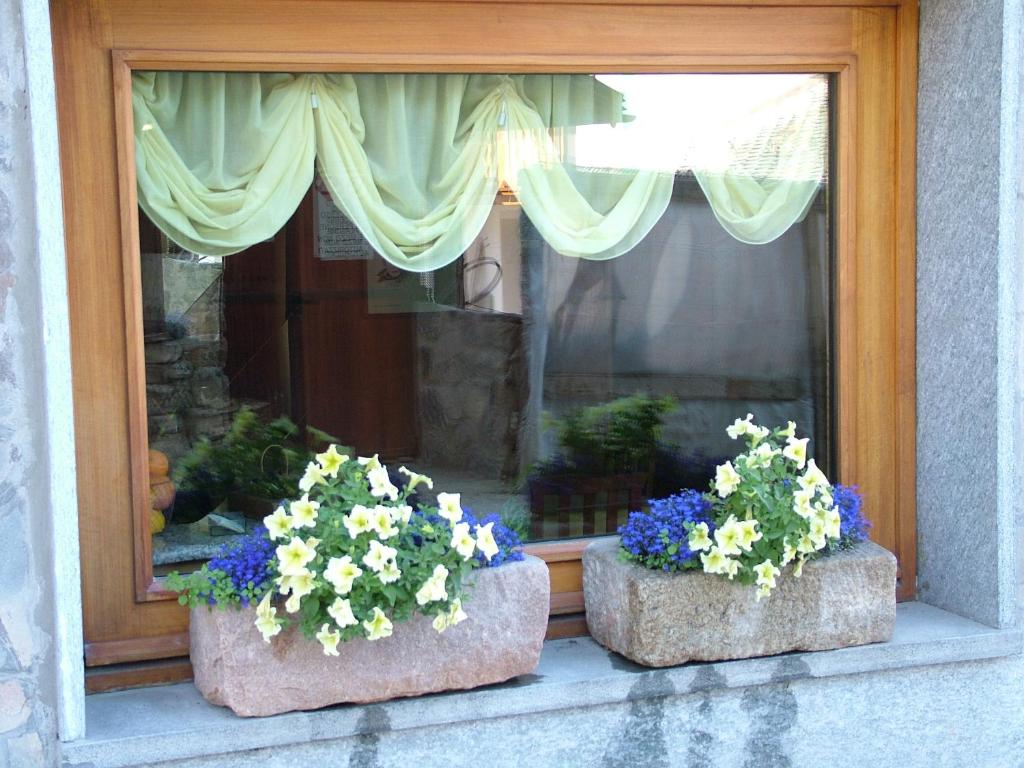 Zahrada ubytování Hotel Marguareis