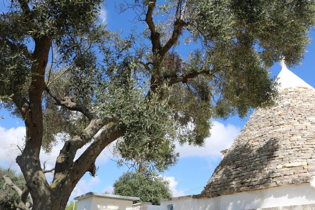 Fotografie z fotogalerie ubytování Trulli alla Controra v destinaci Conversano
