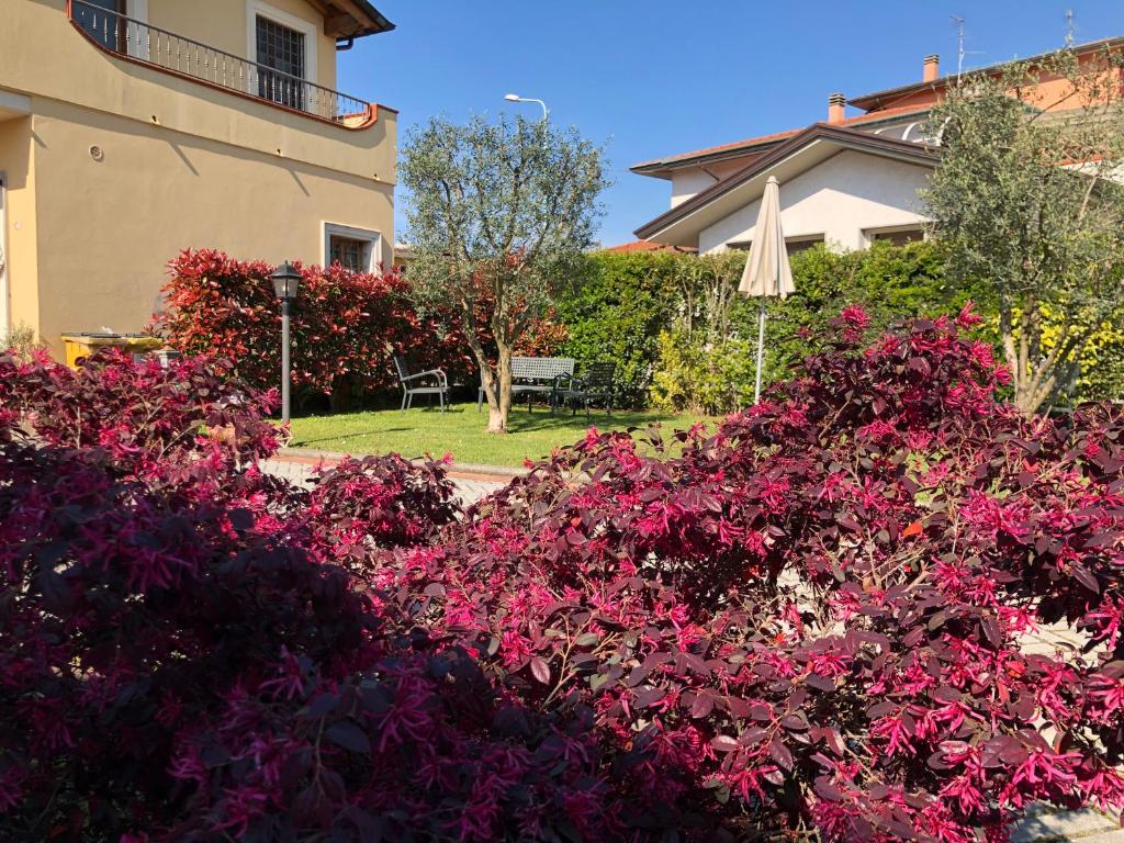Zahrada ubytování B & B Da Ferro
