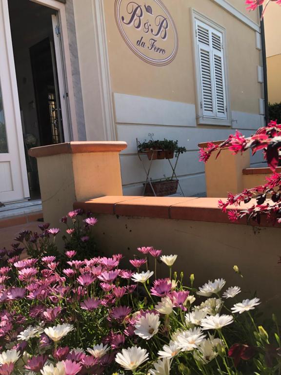 Fotografie z fotogalerie ubytování B & B Da Ferro v destinaci Massarosa