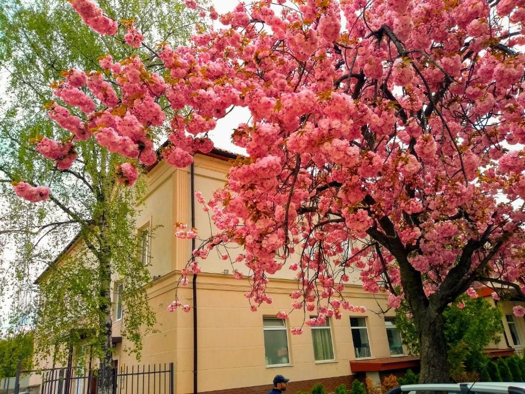 Budova, kde se hostel nachází
