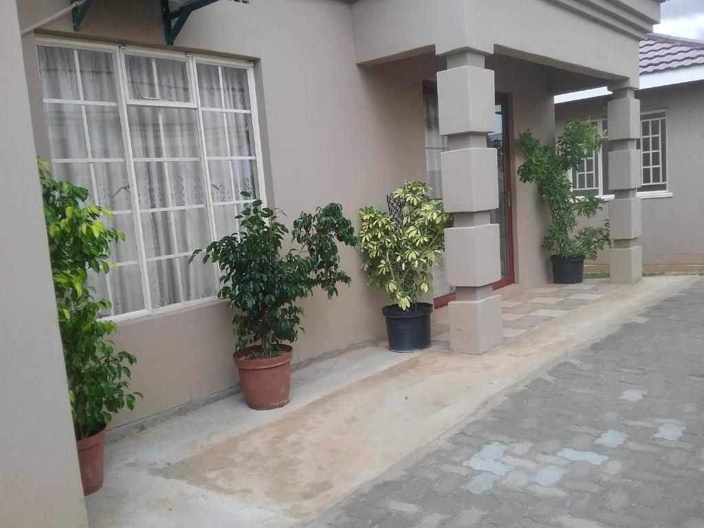 a row of potted plants on the side of a building at The Star B&B in Jwaneng