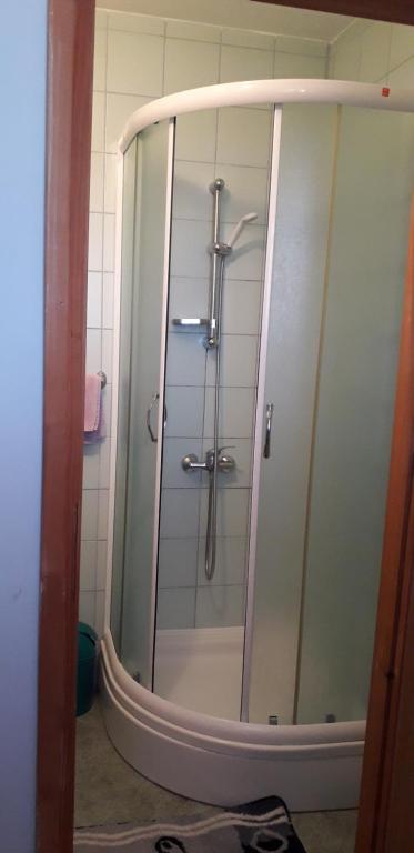 a shower with a glass door in a bathroom at Guesthouse Milka in Poljanak
