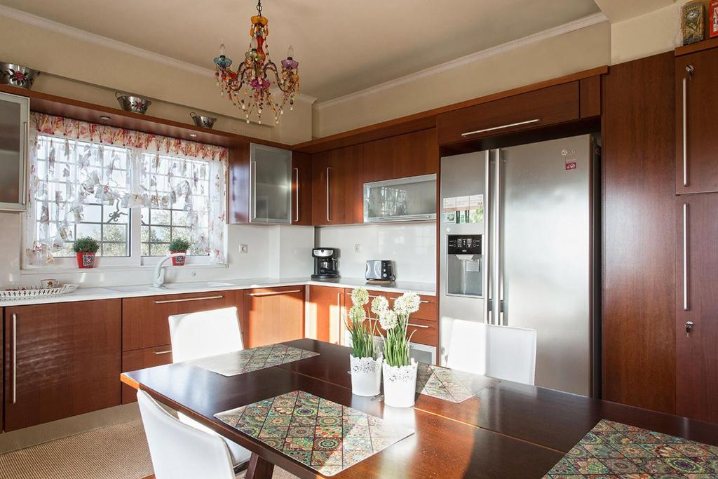 Kuchyňa alebo kuchynka v ubytovaní NV Luxury Villa