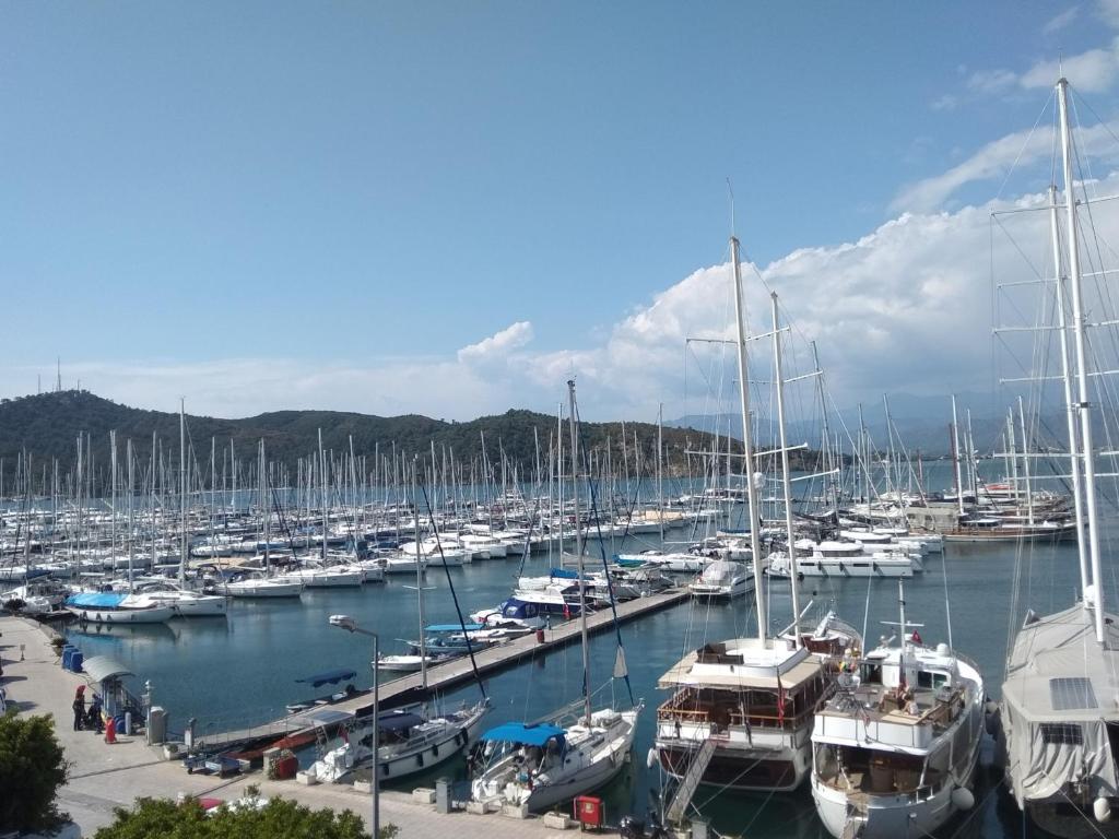 Ece Marina Suites - 2