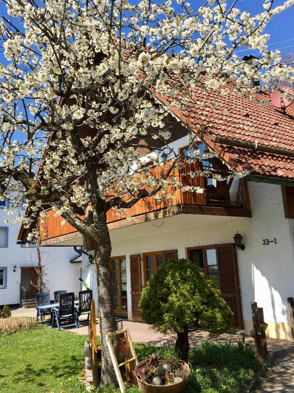 Ferienwohnung Wippenreute - Appartamento - Piano Terra
