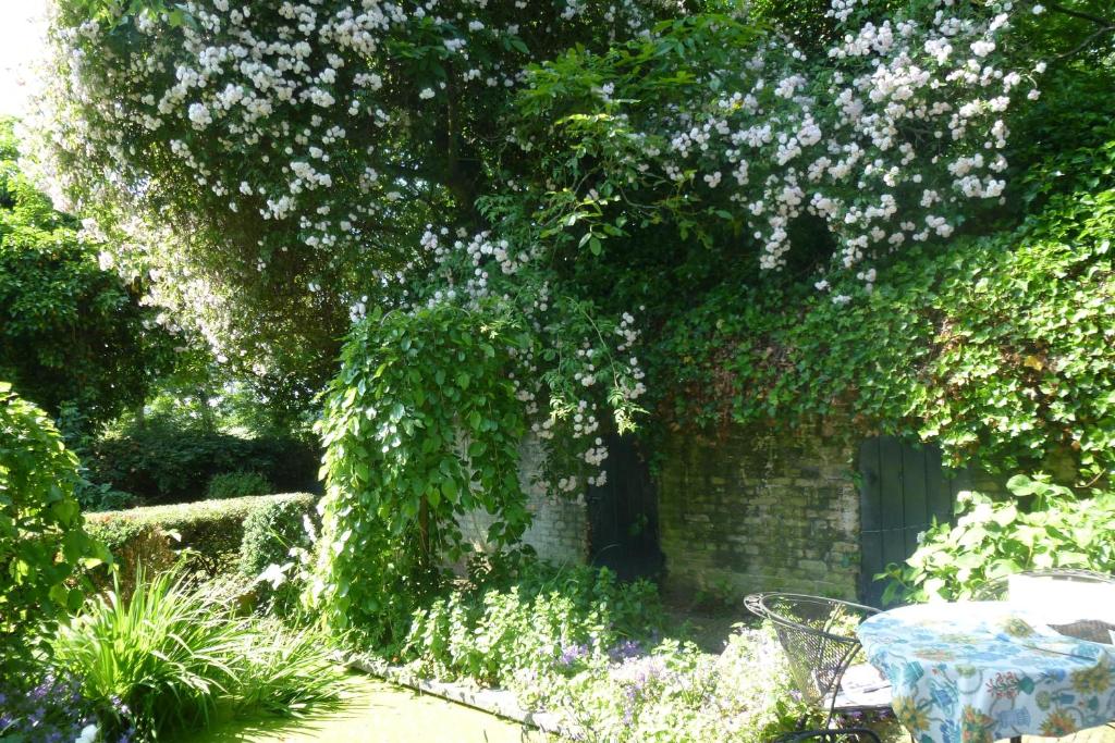 Zahrada ubytování Guesthouse Veerhoeve
