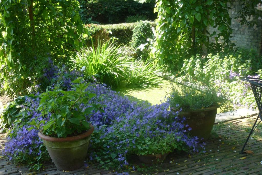 Zahrada ubytování Guesthouse Veerhoeve