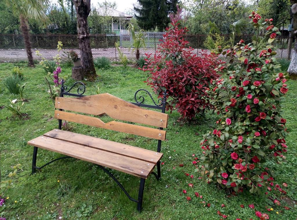 Zahrada ubytování Guest House Danelia