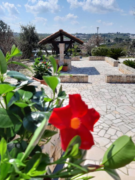Vonkajšia záhrada v ubytovaní La Rosa dei Trulli B&B