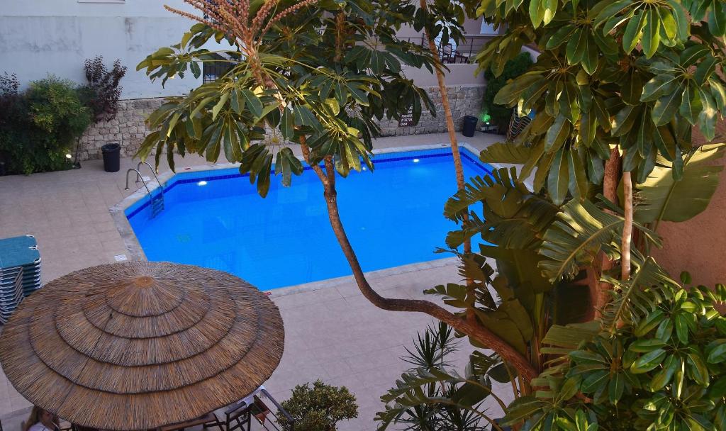 a swimming pool in front of a building with a tree at 24 Seven Boutique Hotel in Malia