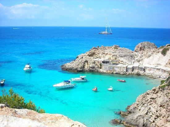 a group of boats in the blue water at Can Mares in Cala Tarida