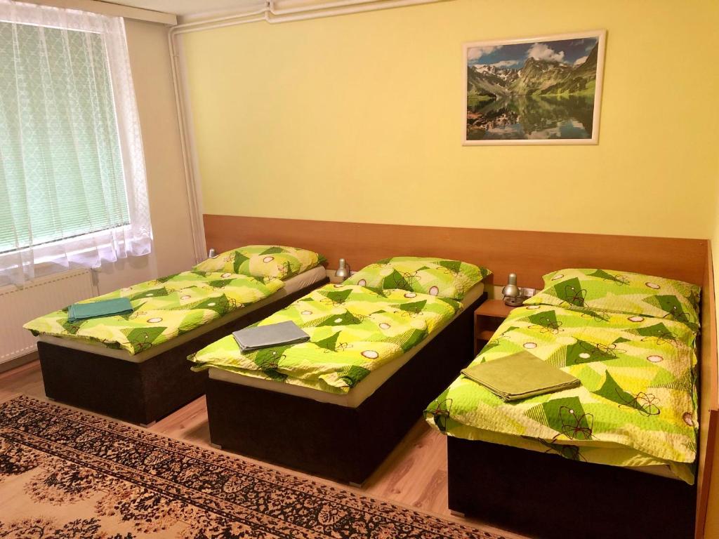 ブルノにあるGalas ubytovani v soukromiのベッド2台と窓が備わる客室です。