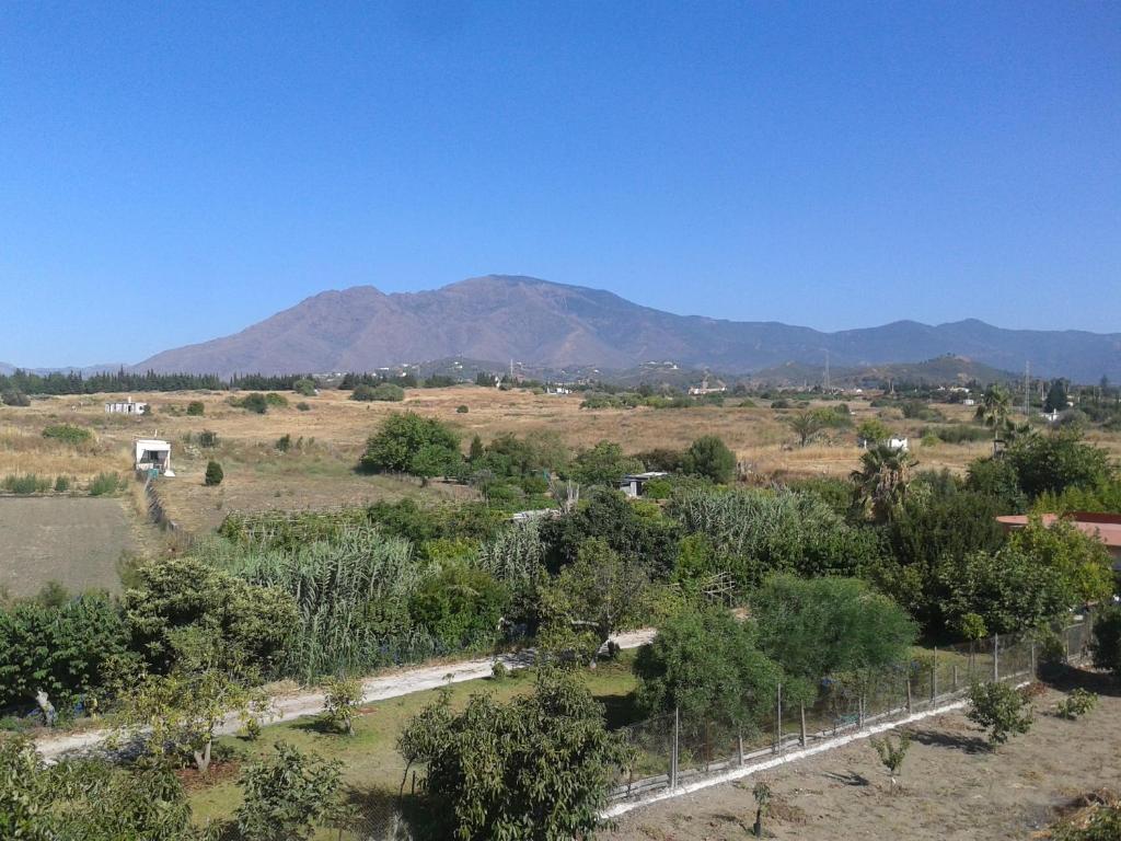 Fotografie z fotogalerie ubytování Hostal Europa v destinaci Estepona